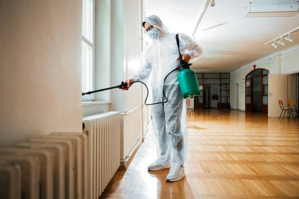 Professional Pest Control in Bellerose Terrace, NY